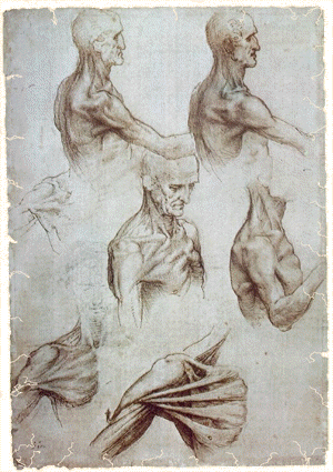 Tekening van Leonardo Da Vinci