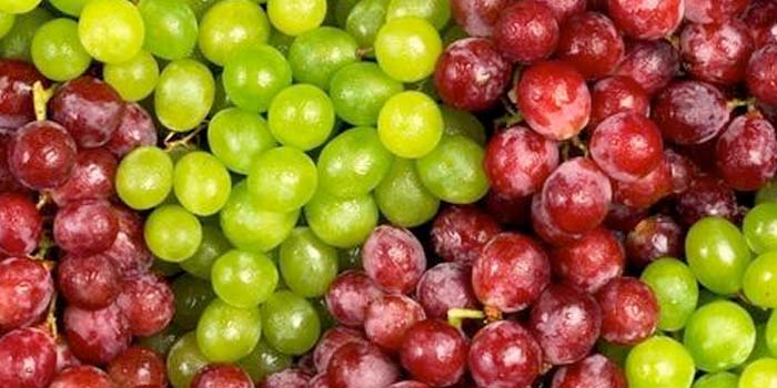 Alles over druiven: Geschiedenis en gebruik in de keuken