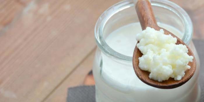 Gefermenteerde melkproducten tegen kanker