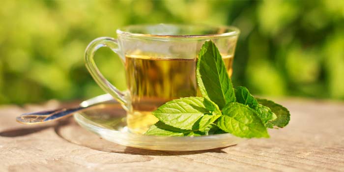 Groene thee – gezond een goede vetverbrander