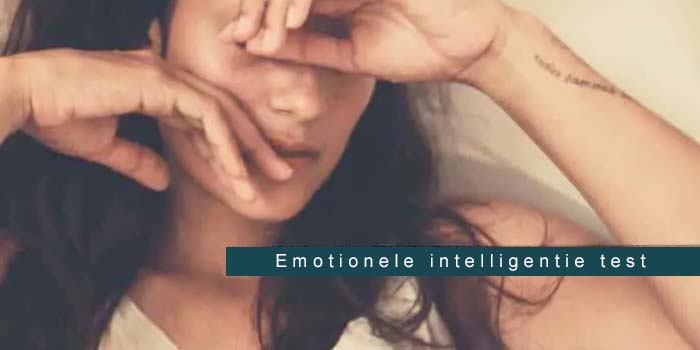Nr 1 onderzoek naar emotionele intelligentie test