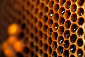 6 Gezonde redenen: honing bij hoge bloeddruk