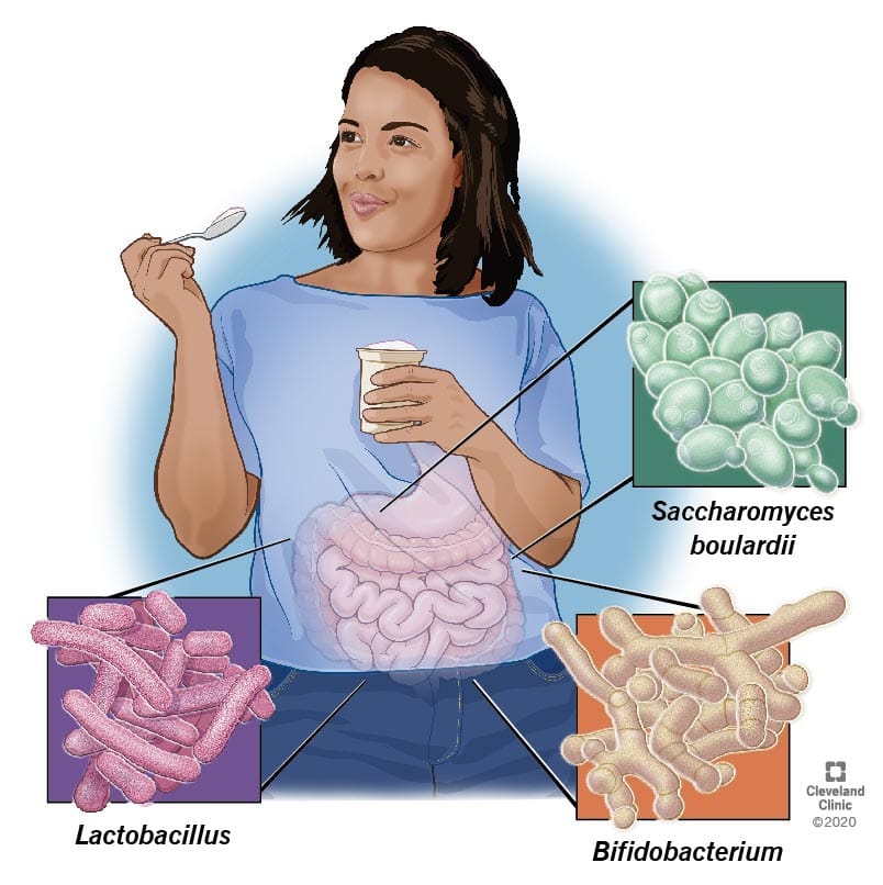 Probiotica en je darmgezondheid