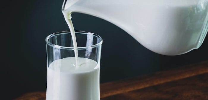 Gefermenteerde melkproducten