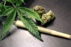 Cannabisgebruik bij jongeren gevaarlijk – Dr. Andrew Huberman