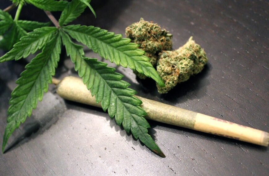 cannabisgebruik bij jongeren gevaarlijk