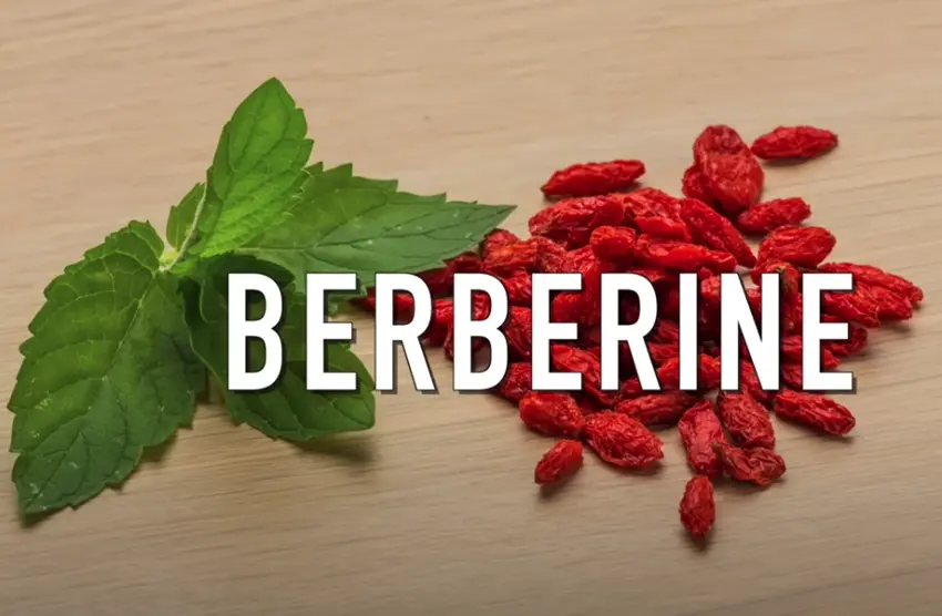 Berberine: Een krachtig kruid met veelzijdige voordelen