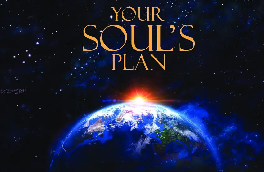 Robert Schwartz - Your Soul's Plan