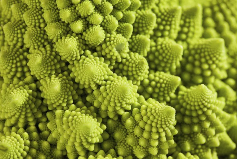 Broccoli romanesco - Vijftallige fractalkool met unieke vorm en fijne smaak + 3 recepten
