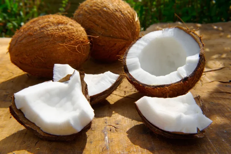 Kokosnoot - Eigenschappen, voedingswaarden en gezondheidsvoordelen