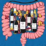 Hoe beïnvloedt alcohol Je darmmicrobioom?