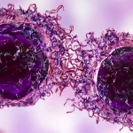 Met Gezonde Mitochondriën Is Kanker Krijgen Onmogelijk – Nobelprijswinnaar Otto Warburg & Professor Seyfried
