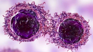Met Gezonde Mitochondriën Is Kanker Krijgen Onmogelijk – Nobelprijswinnaar Otto…