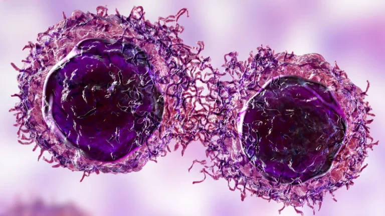 Met Gezonde Mitochondriën Is Kanker Krijgen Onmogelijk – Nobelprijswinnaar Otto Warburg & Professor Seyfried