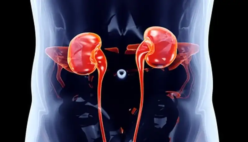 Kan Ozempic Je Nieren Genezen? Baanbrekende Studie Onthult – GoodFeeling